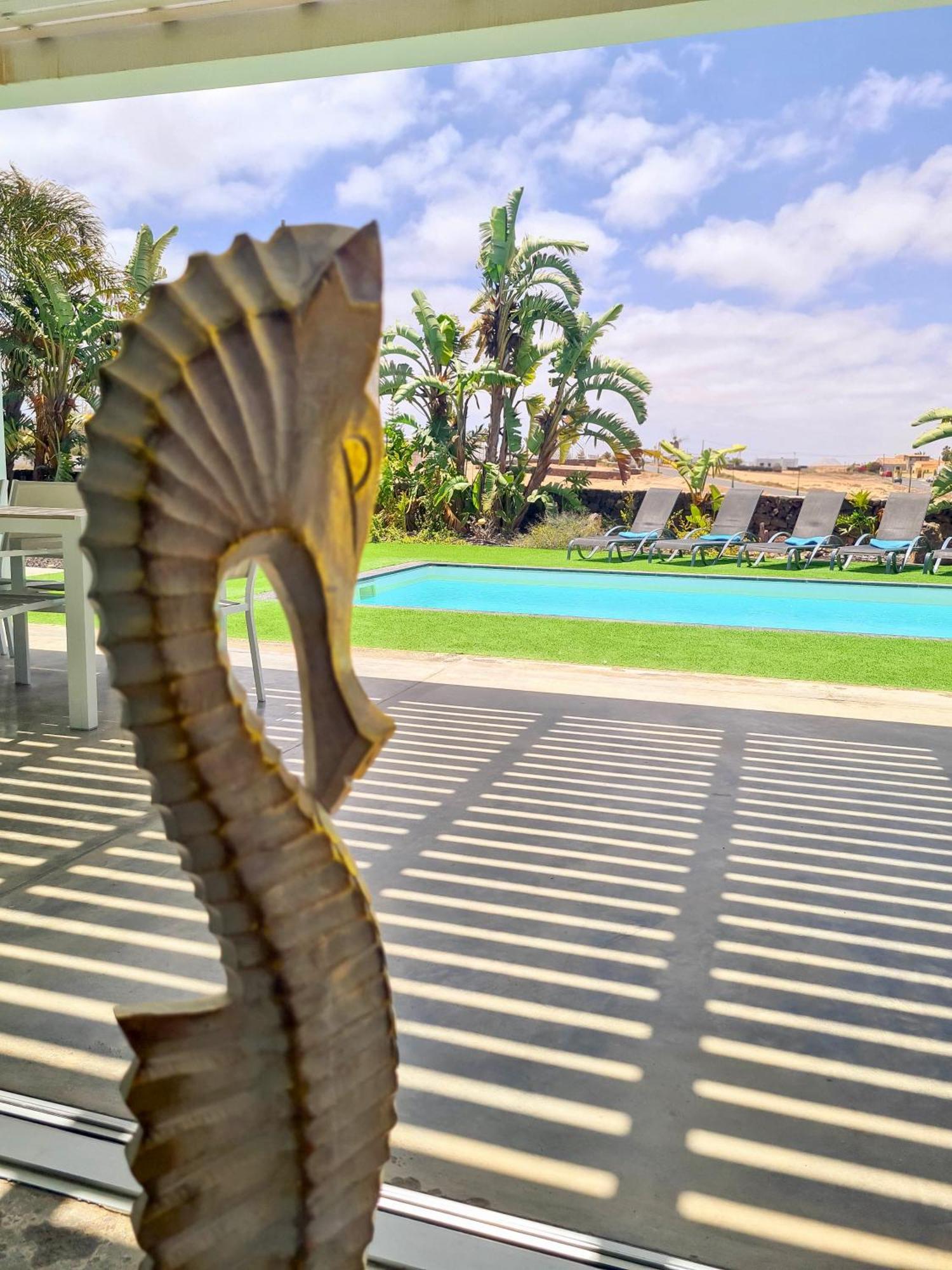 Turquesa 1 Fuerteventura Villa Лахарес Екстериор снимка