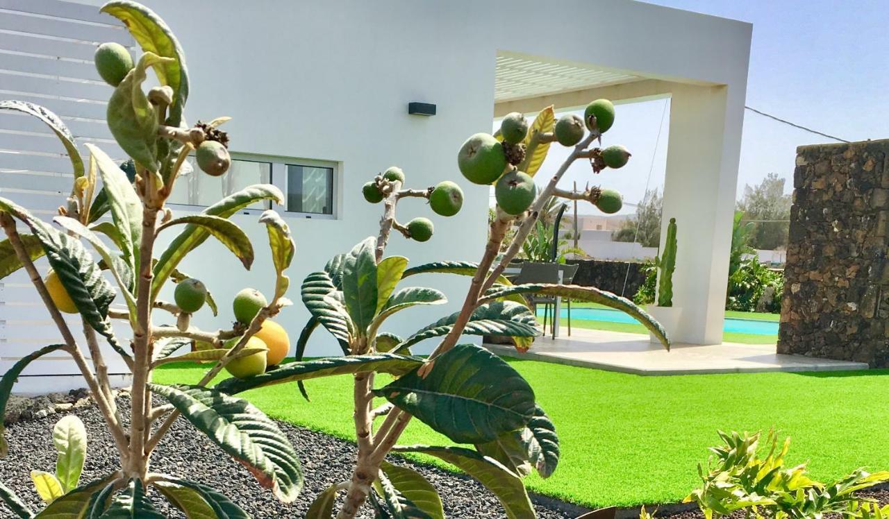 Turquesa 1 Fuerteventura Villa Лахарес Екстериор снимка